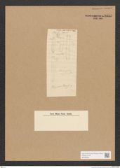 Diatomeae indet. Zeichnungen Sammlung Grunow Nr. 1693 (NHMW-BOT-W0368564)